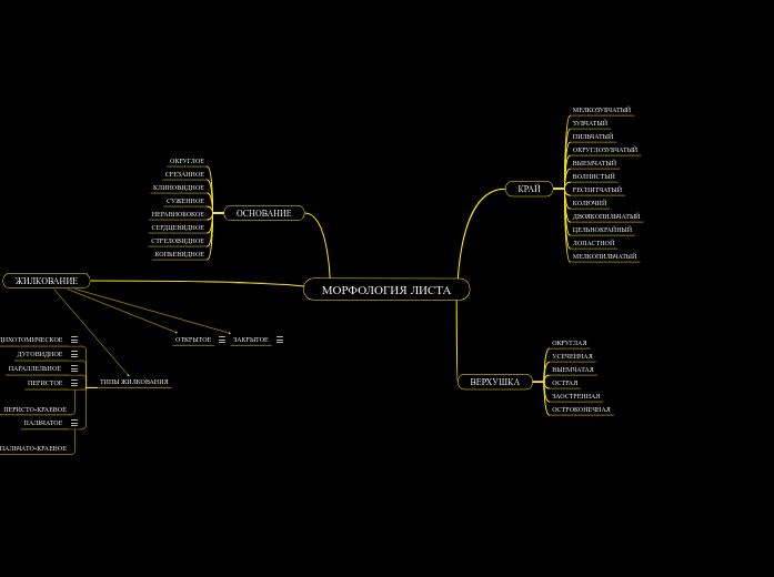 МОРФОЛОГИЯ ЛИСТА - Мыслительная карта