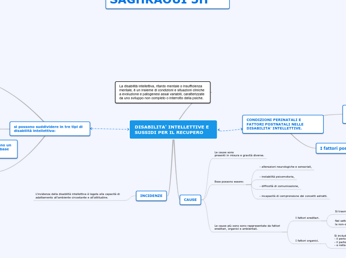DISABILITA' INTELLETTIVE E SUSSIDI PER IL RECUPERO