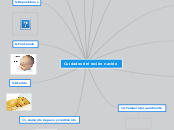 Cuidados del recién nacido - Mapa Mental