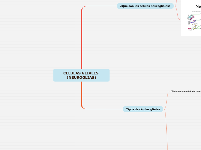 CELULAS GLIALES (NEUROGLIAS)