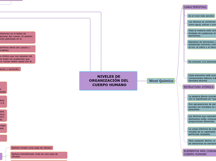 NIVELES DE ORGANIZACIÓN DEL CUERPO HUMANO