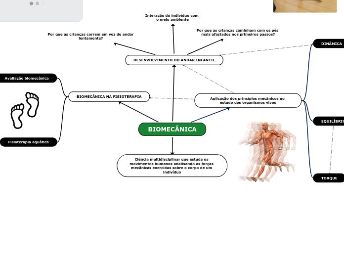 BIOMECÂNICA