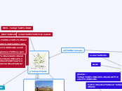 cell processes