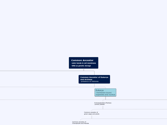 Organigram