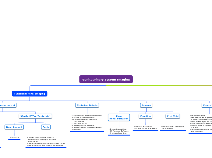 Genitourinary System Imaging