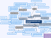 PROCEDIMIENTOS PENALES - Mapa Mental