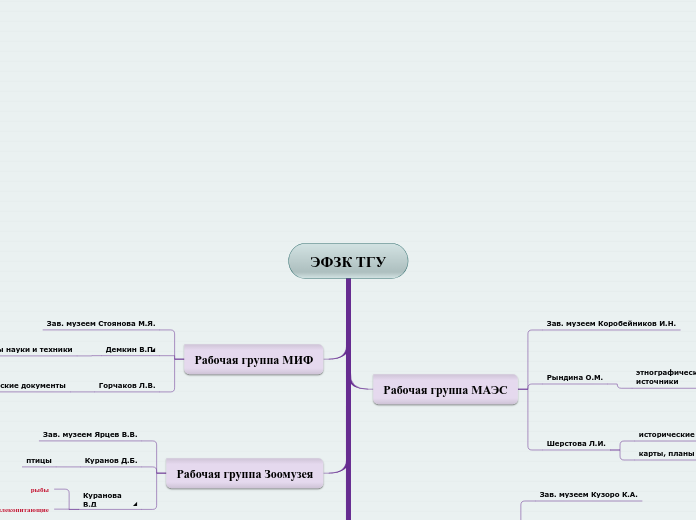 ЭФЗК ТГУ - Мыслительная карта