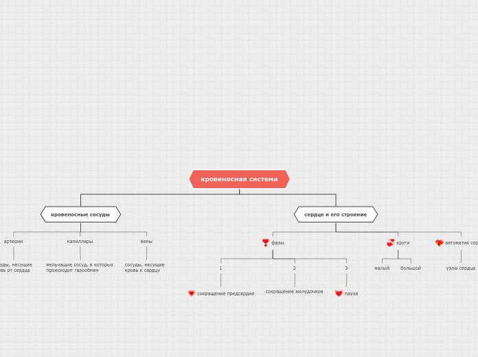 кровеносная система - Мыслительная карта