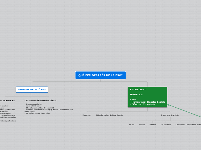 QUÈ FER DESPRÉS DE L'ESO?