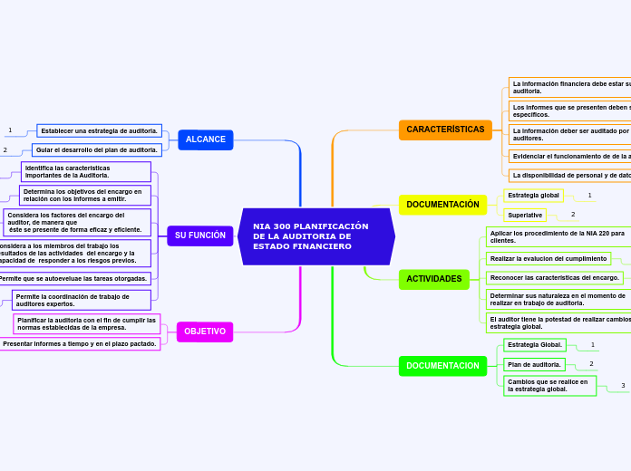 NIA 300 PLANIFICACIÓN DE LA AUDITORIA DE ESTADO FINANCIERO