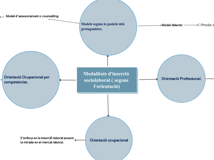 Modalitats d'inserció sociolaboral ( segons l'orientació)