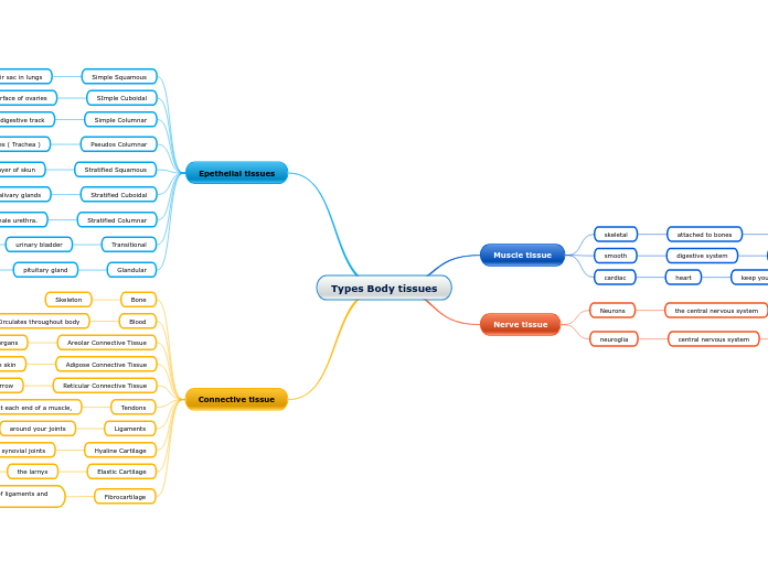 Types Body tissues