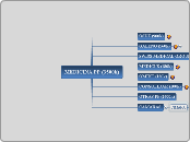 MEDICINA PP (3500k) - Mapa Mental