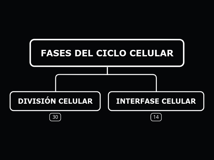 FASES DEL CICLO CELULAR