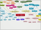 Conceptual Model