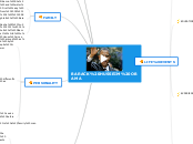 BARACK HUSSEIM OBAMA - Mind Map