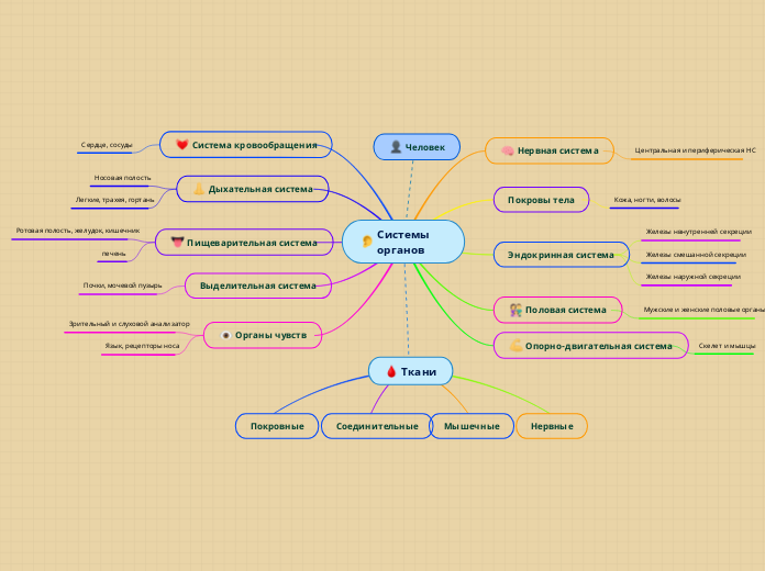 Системы органов