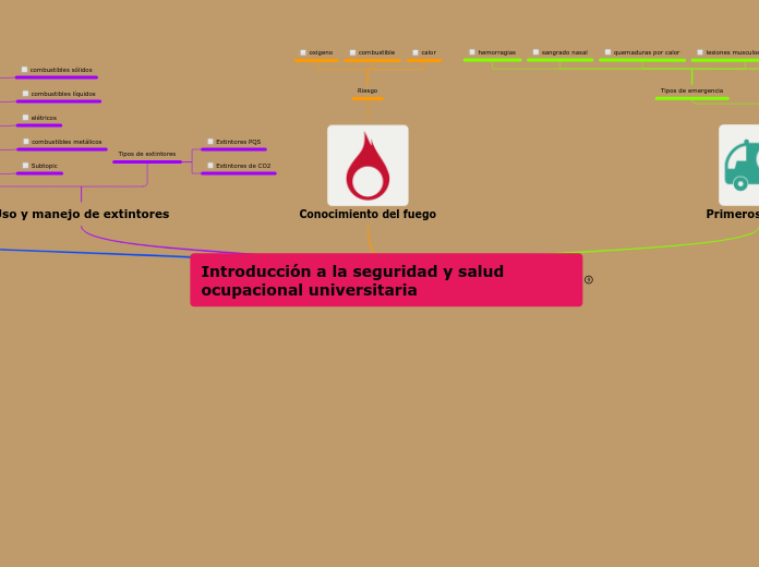 Introducción a la seguridad y salud ocu...- Mapa Mental