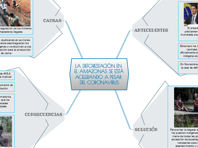 LA DEFORESTACIÓN EN EL AMAZONAS SE ESTÁ ACELERANDO A PESAR DEL CORONAVIRUS