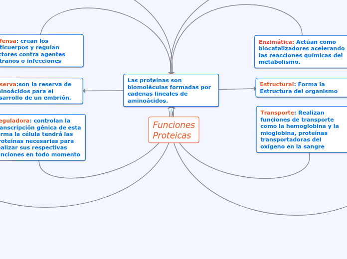 Funciones
Proteicas - Mapa Mental