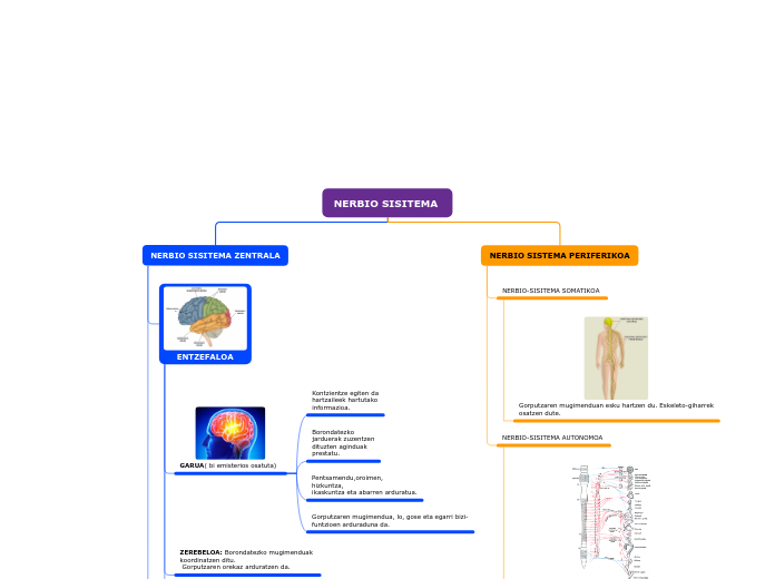 NERBIO SISITEMA 