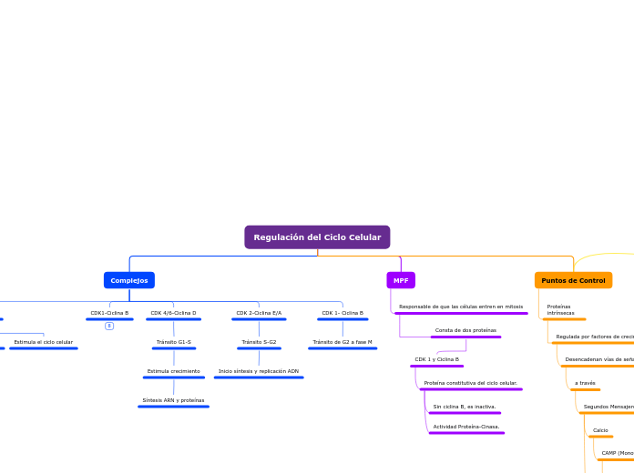 Regulación del Ciclo Celular - Mapa Mental