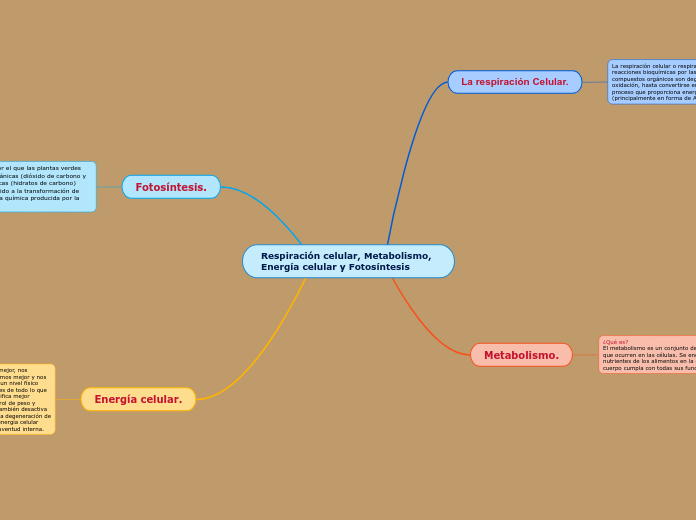 Respiración celular, Metabolismo, Energ...- Mapa Mental