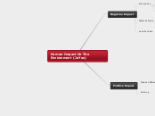 Human Impact On The Environment (JaYee)