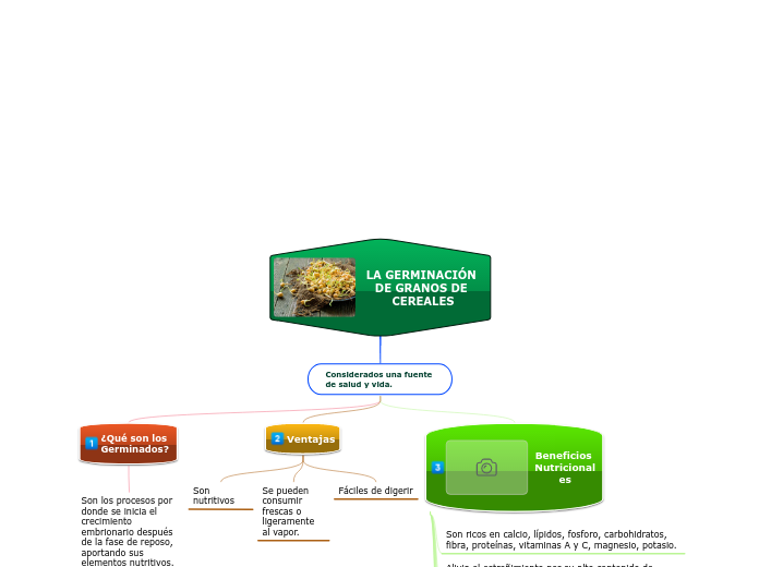 LA GERMINACIÓN DE GRANOS DE CEREALES