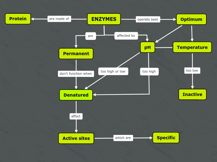 ENZYMES