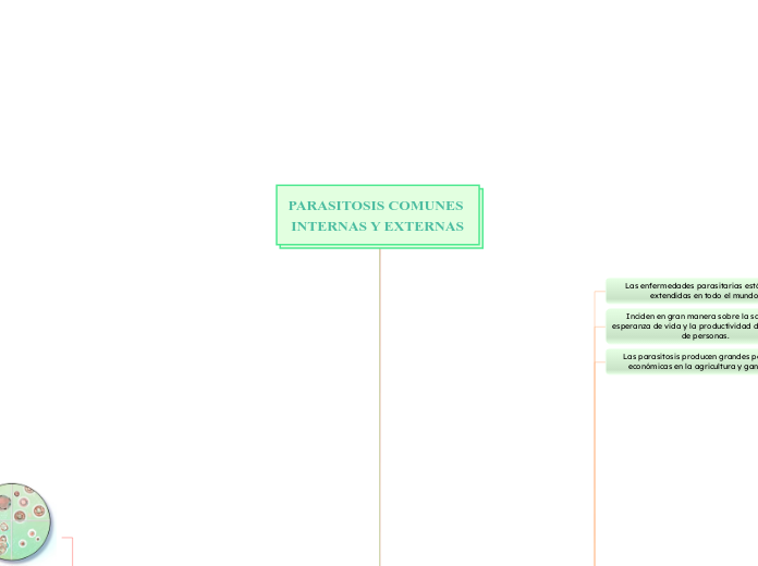 PARASITOSIS COMUNES 
INTERNAS Y EXTERNAS