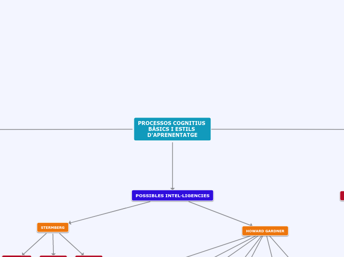 PROCESSOS COGNITIUS BÀSICS I ESTILS D'A...- Mapa Mental