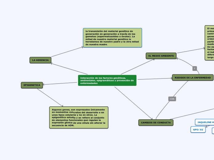 Interacción de los factores genéticos, ...- Mapa Mental