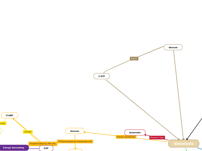 Cellular Respiration Mind Map