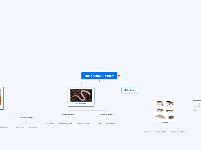 The Animal Kingdom - Mind Map