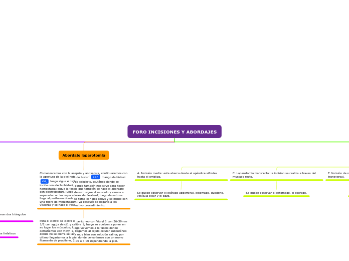 FORO INCISIONES Y ABORDAJES - Mapa Mental