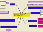 Modelos de Gestión de Seguridad Publica...- Mapa Mental