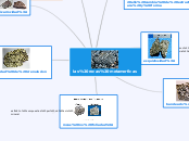 rocas metamorficas