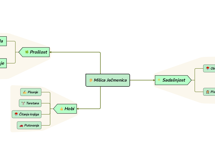 Milica Ječmenica - Mind Map