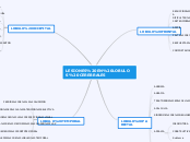 LESIONES EN LOBULOS CEREBRALES