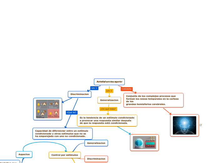 Actividad nerviosa superior - Mapa Mental