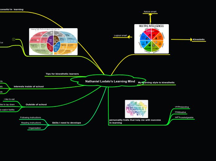 Nathaniel Lodato's Learning Mind