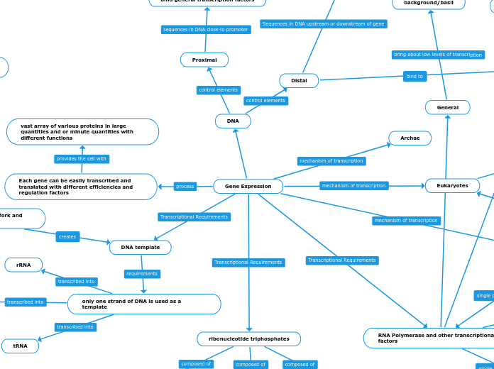 Concept Map 3