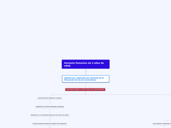 Paciente femenino de 3 años de edad. - Mapa Mental