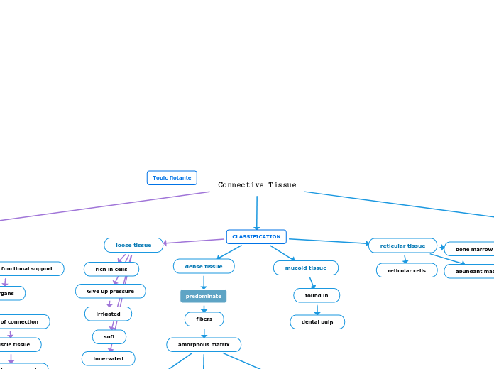 Connective Tissue