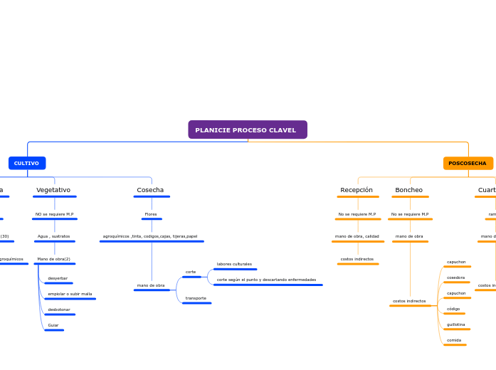 PLANICIE PROCESO CLAVEL  
