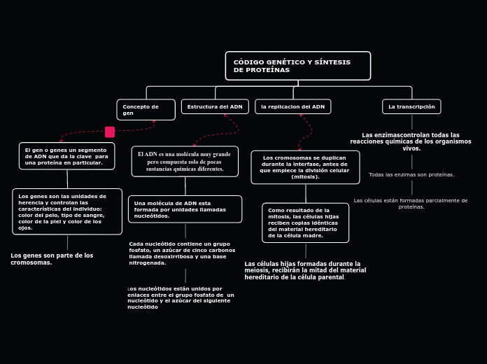 Organigrama arbol