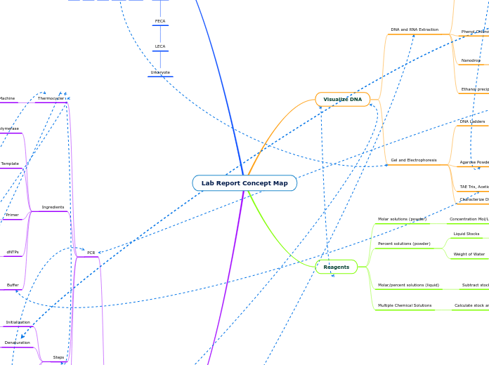 Lab Report Concept Map