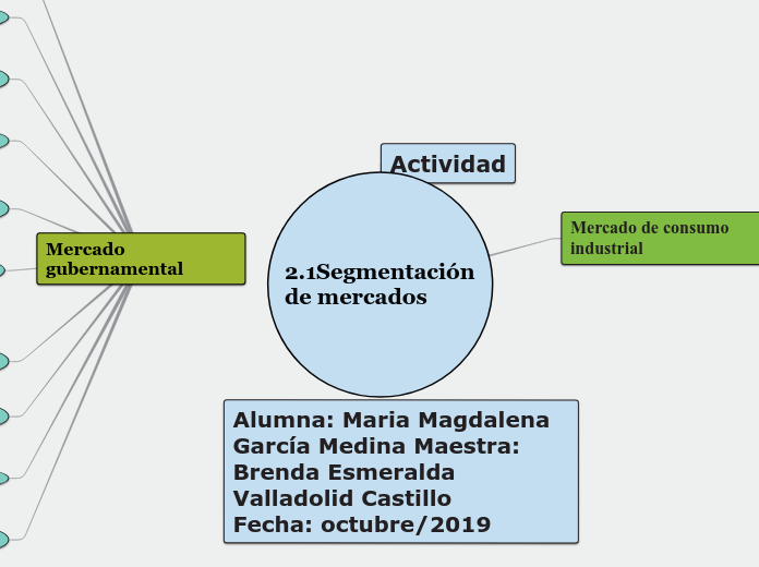 2.1Segmentación de mercados - Mapa Mental