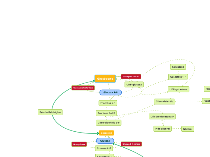 Glucógeno - Mapa Mental